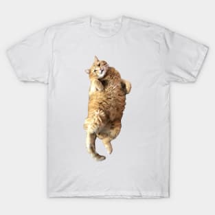 Chonklord Ferdinand Cat T-Shirt